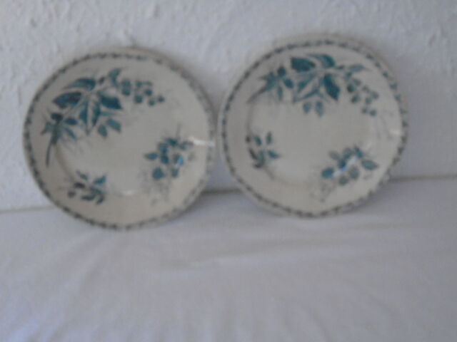 2 Plates faience old Bondonviller decoration MURE wild fruit iron earth diameter 22 cm