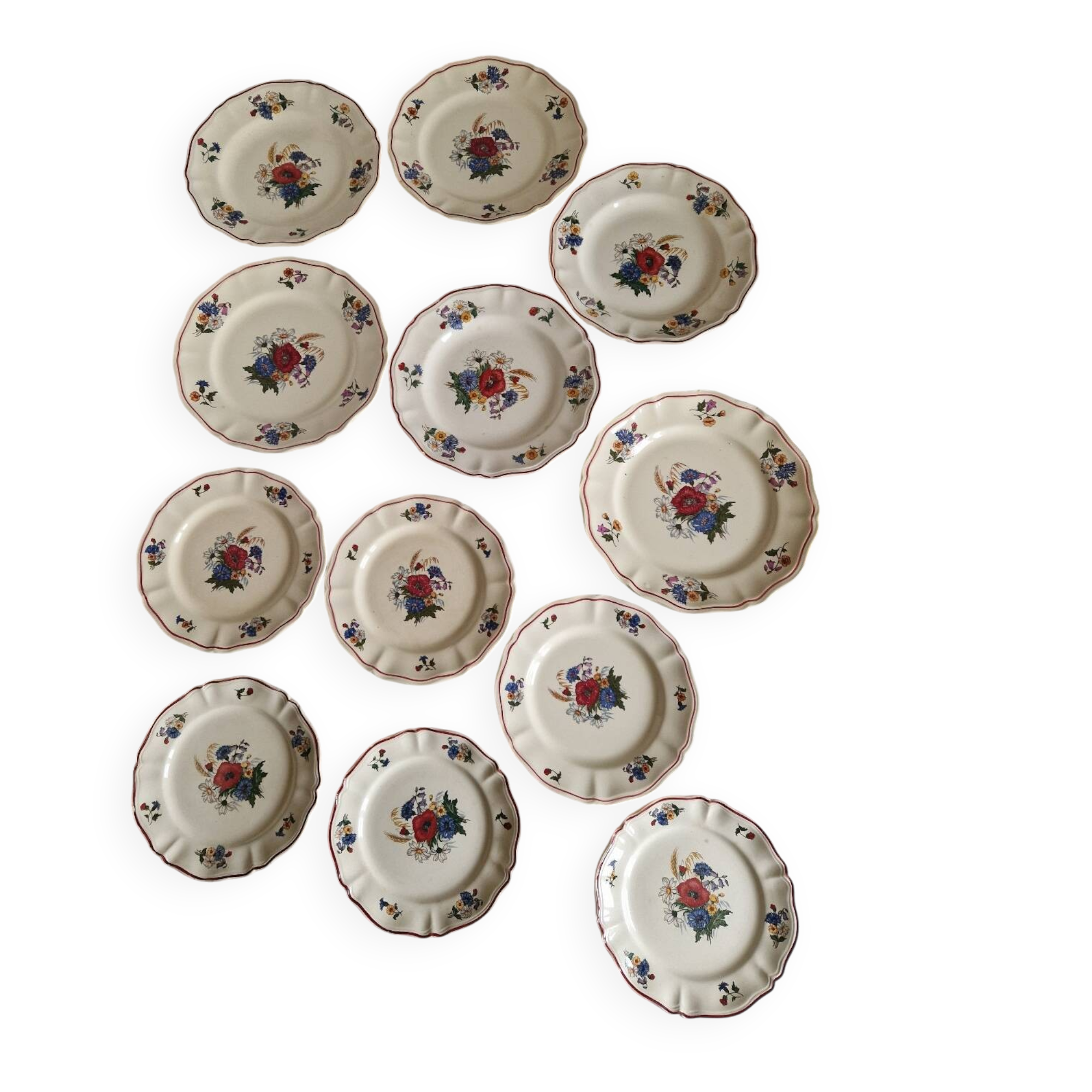 Set of 12 Sarreguemines Plates, Agreste Models