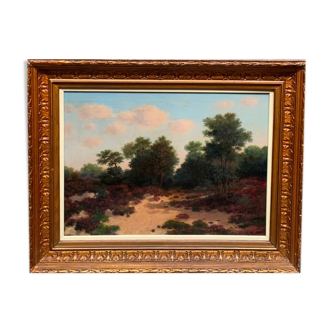 Painting "forest landscape"