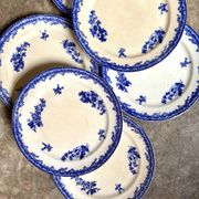 6 assiettes plates Staffordshire en terre de fer bleue