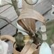 Italian cage chandelier decorated with ceramic roses and glass paste pendants