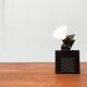 Postmodern German Minispot table lamp by Osram, 1980s.
