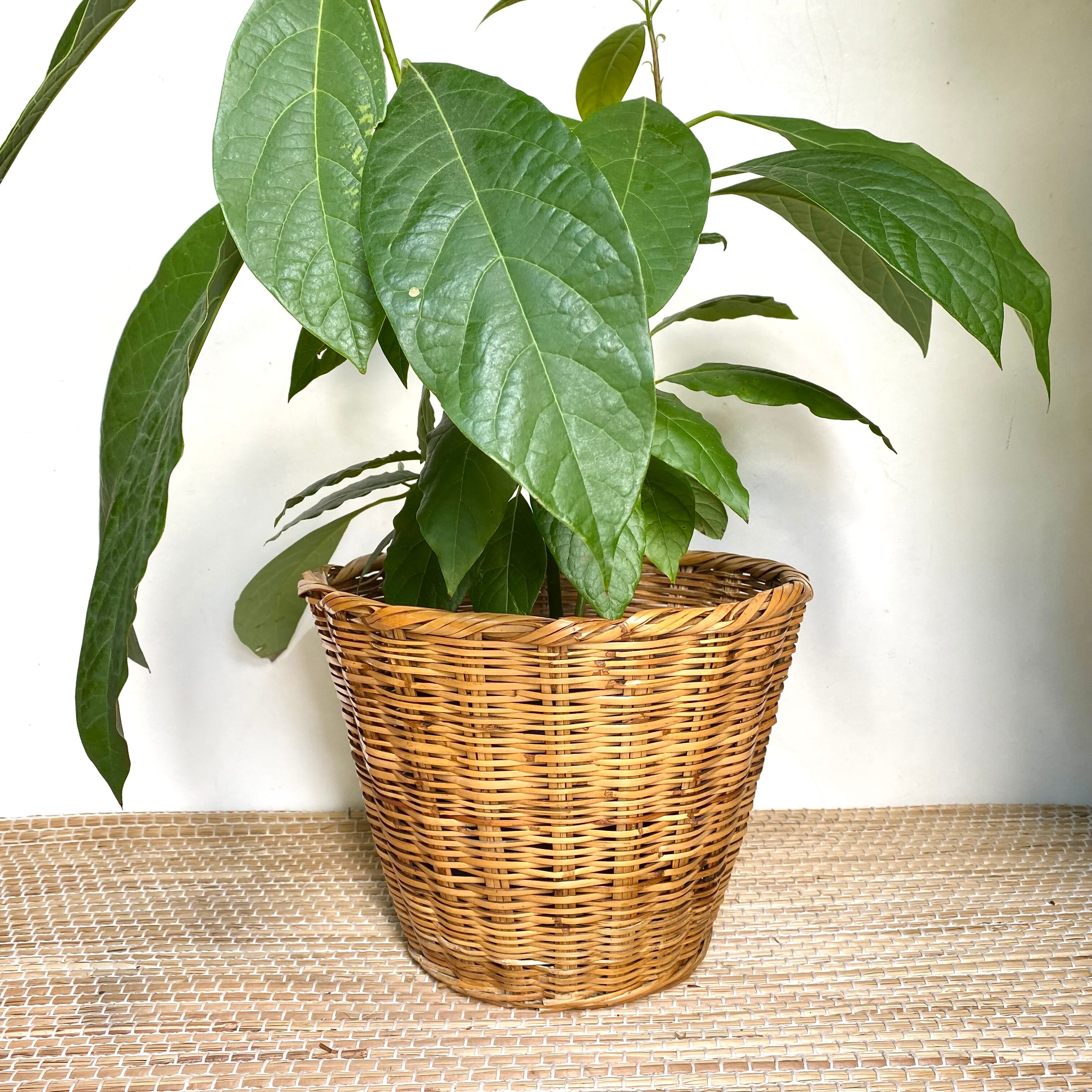 Wicker basket planter