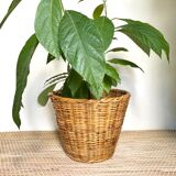 Wicker basket planter
