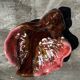 Pair of 60s-70s Vallauris Ceramic Empty Pockets in Shell Shape