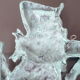 Meduse de trinica sicile