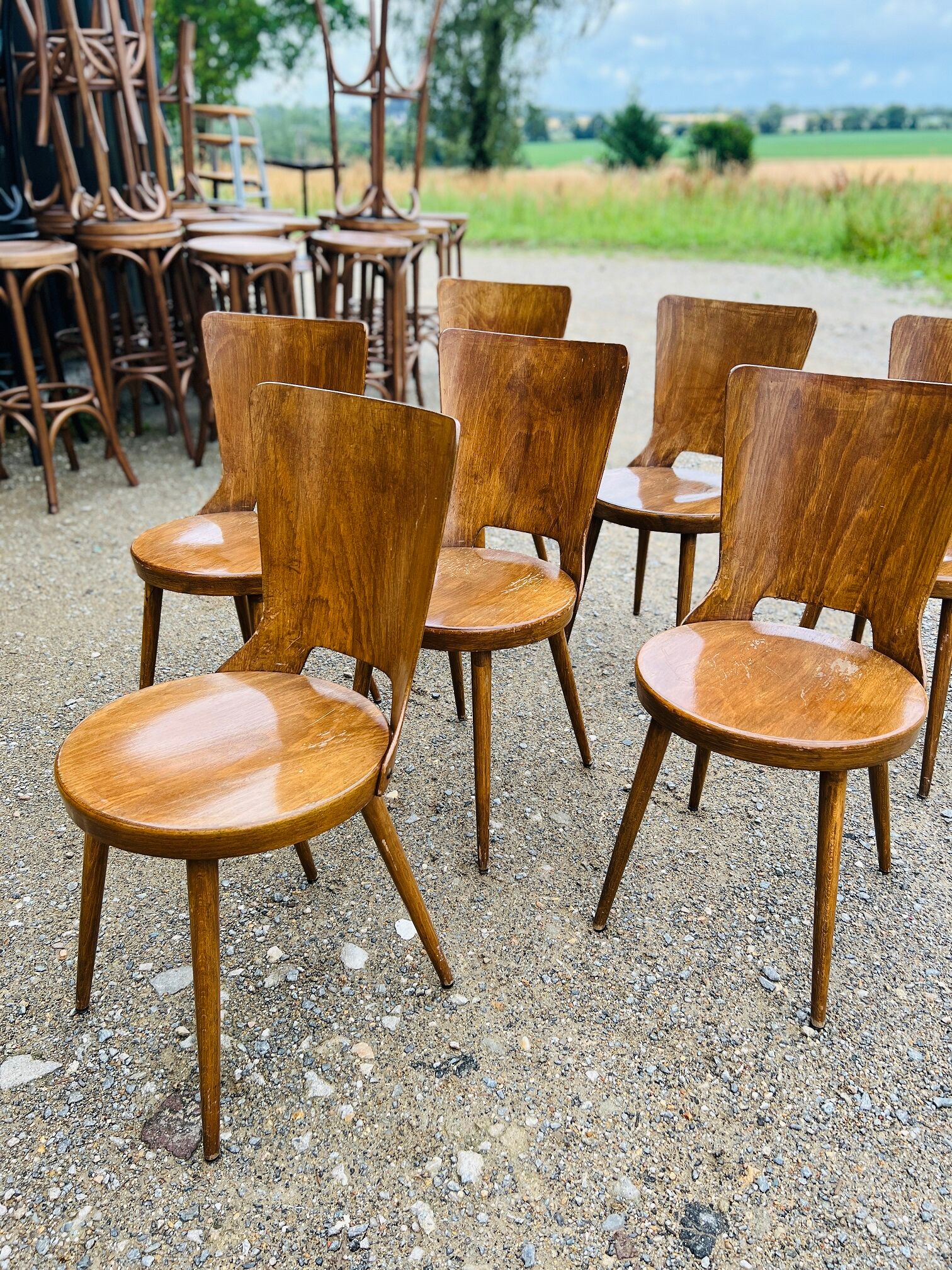 Set of 7 baumann bistro chairs model dove 50s