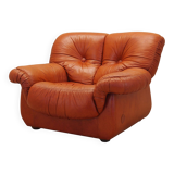 Lounge chair, Italian design, 1970s, manufacturer: PelleRossi