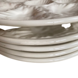 Set of 5 plates in white slurry with oyster pattern