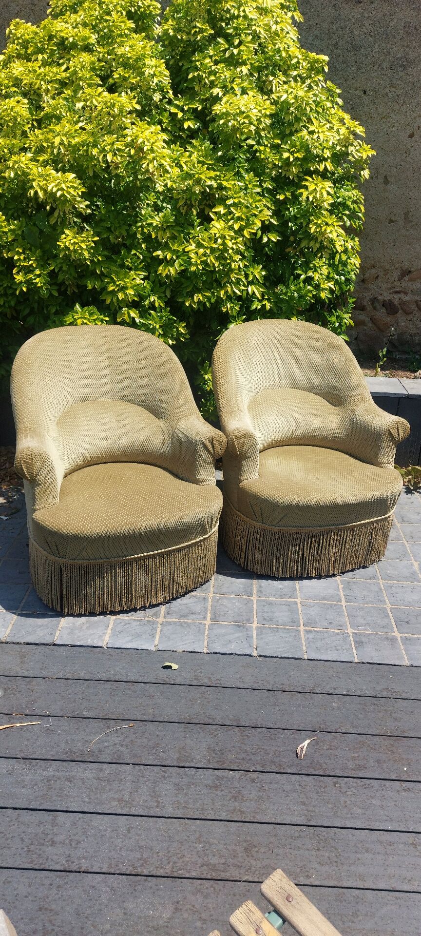 Frog chairs