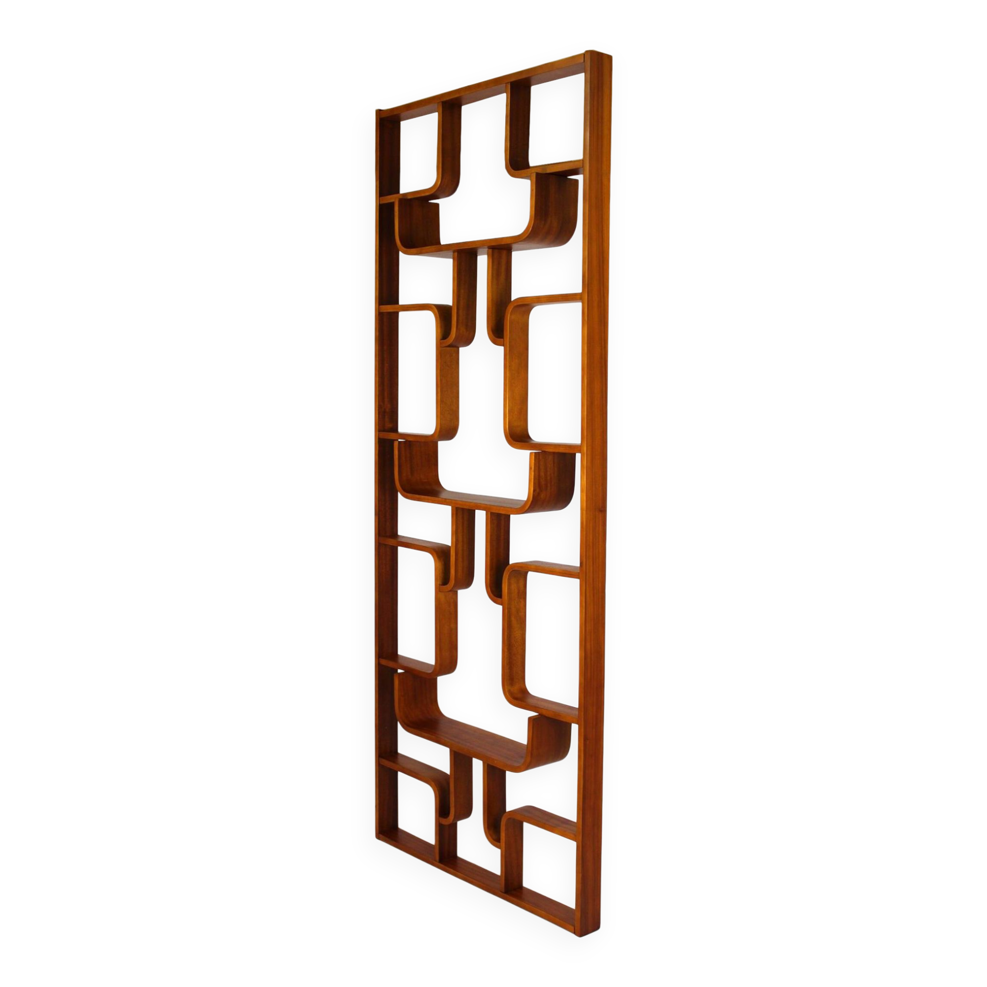 Restored Mid-Century Room Divider by L. Volak for Drevopodnik Holesov, 1960s