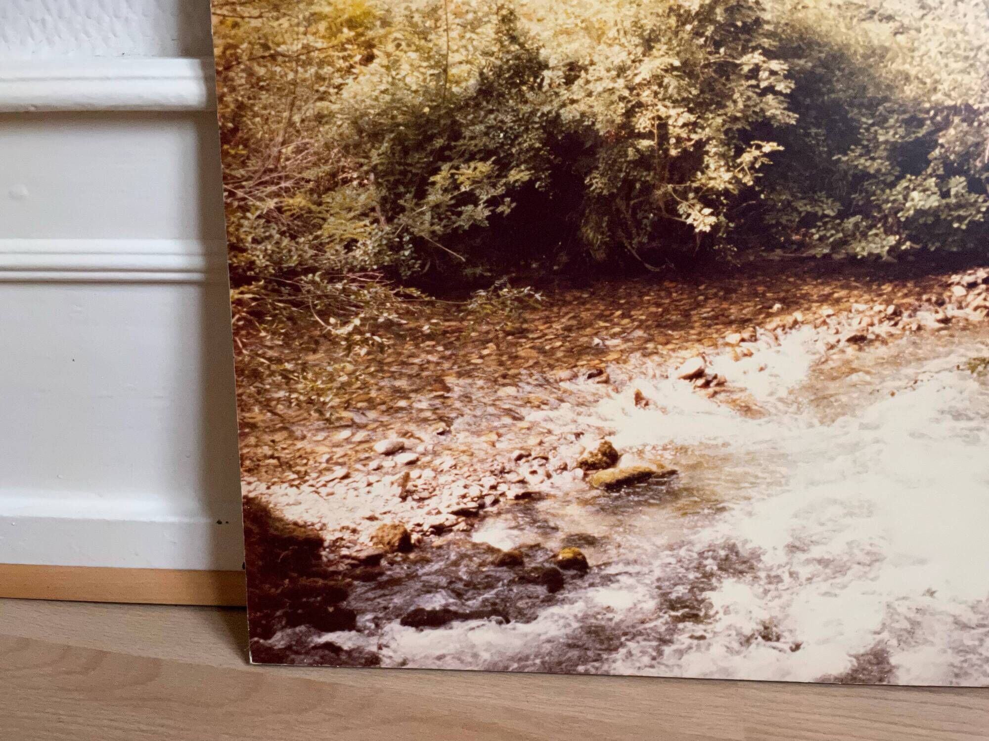 Large old photo, 70s, forest landscape - laminated