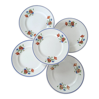 Salins floral dessert plates