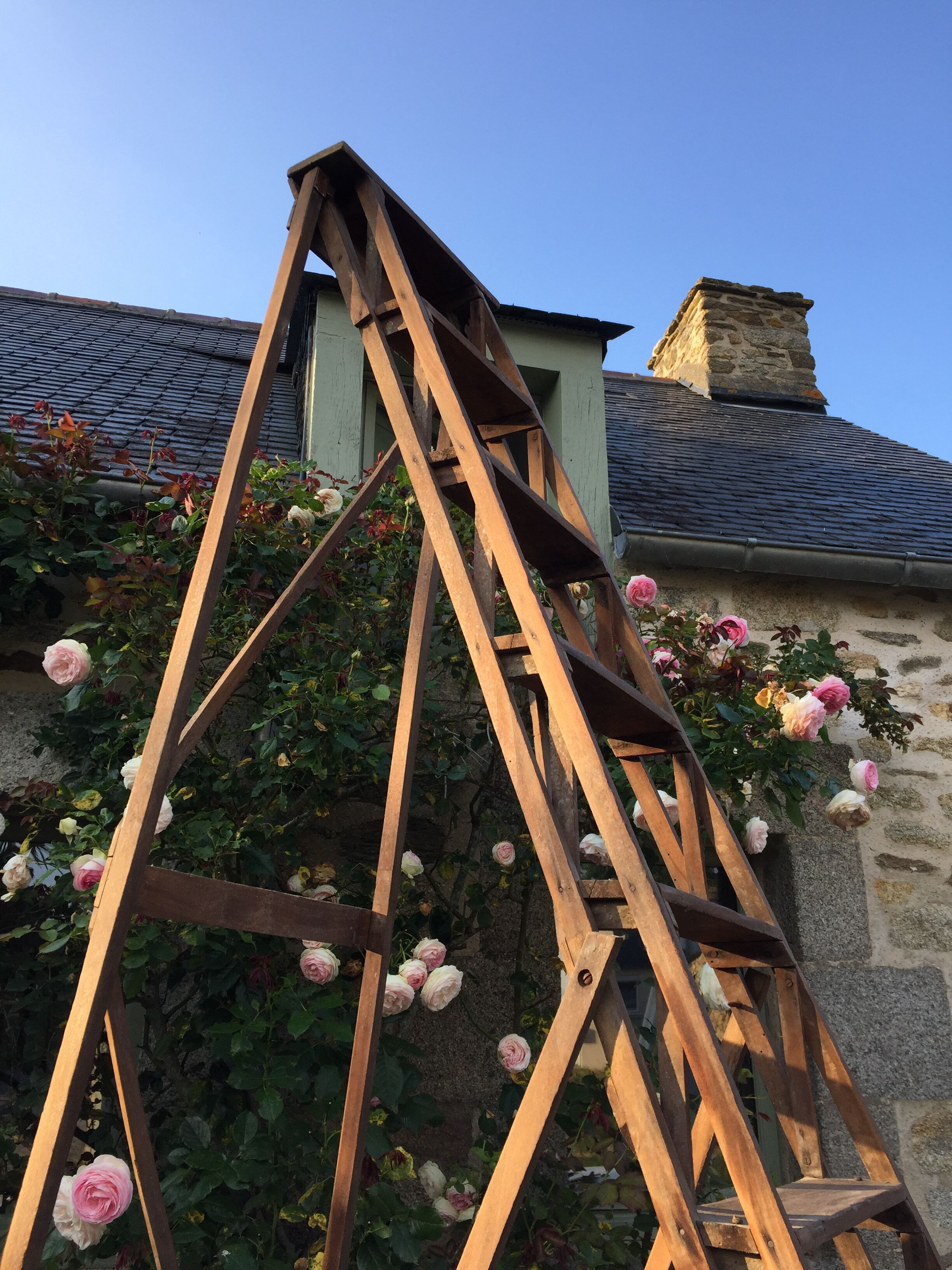 Castle bookcase stool