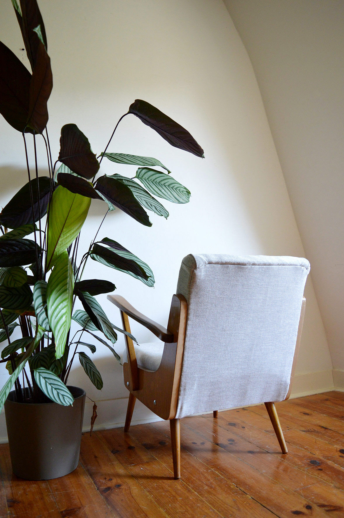 Austrian armchair 60s