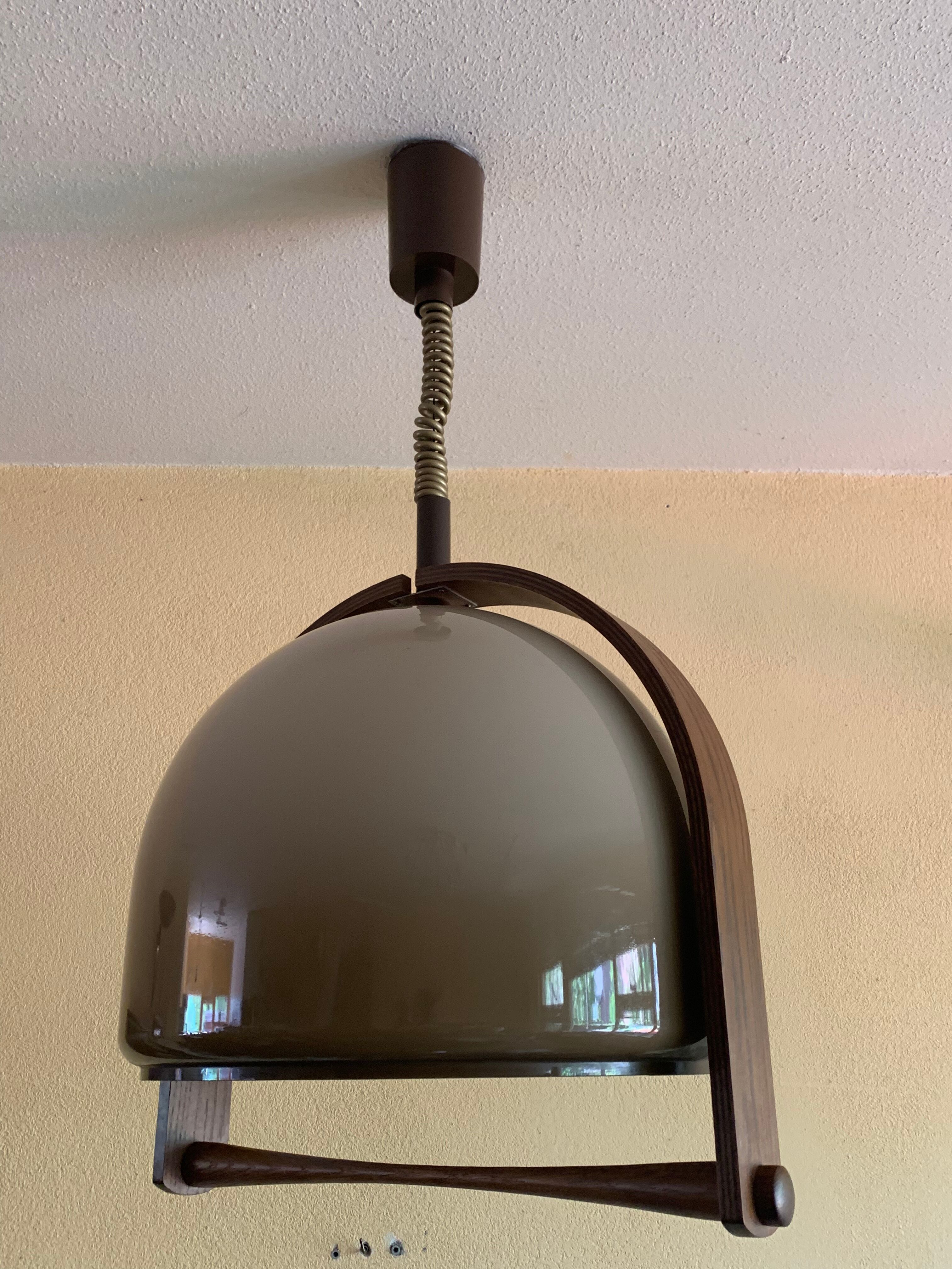 Temde Leuchten pendant lamp lucid and vintage teak