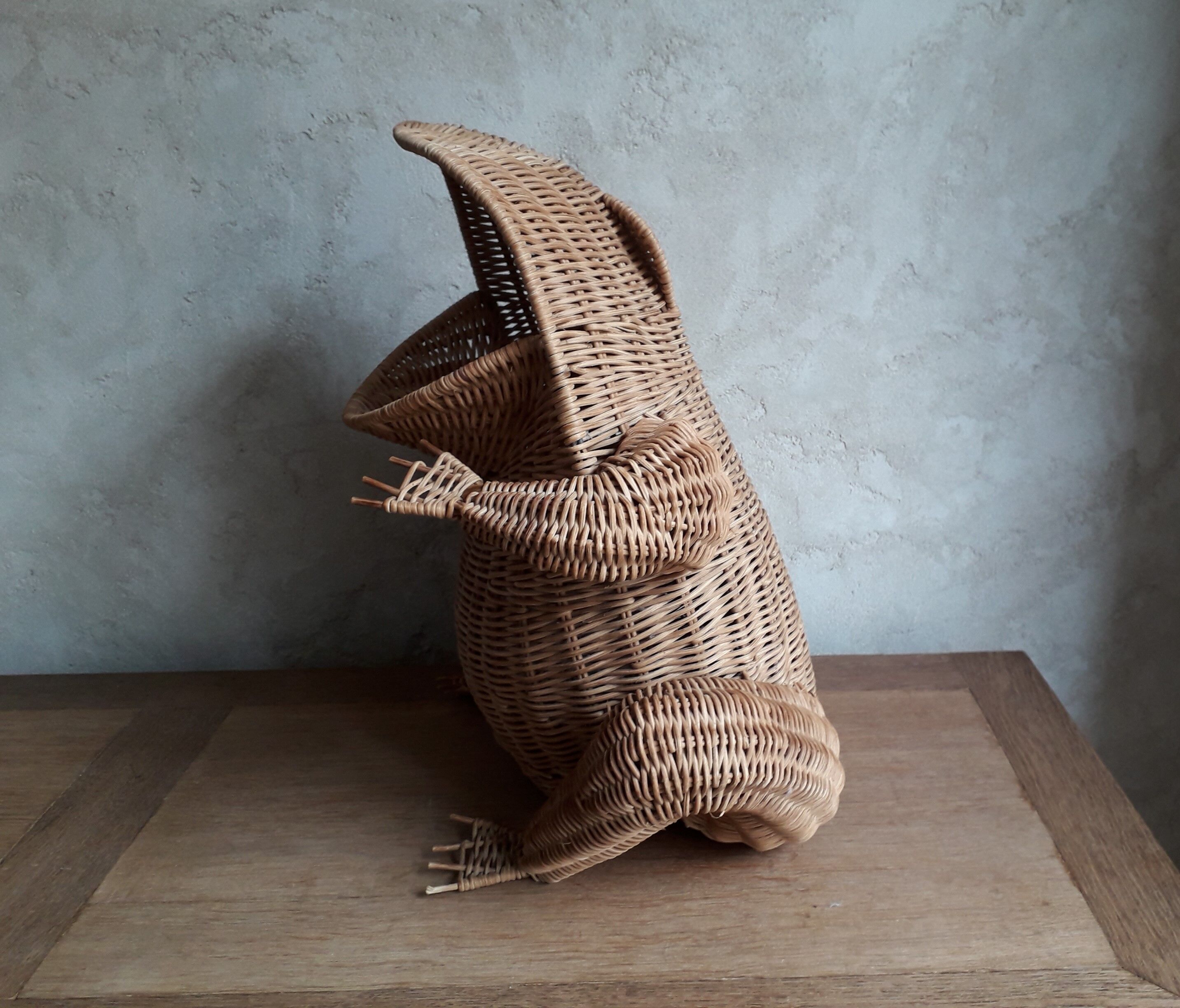 Frog in rattan magazine holder