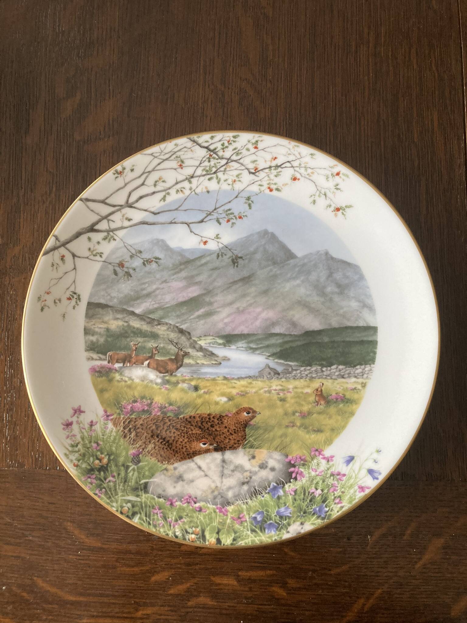 Set of 12 decorative plates Royal Worcester – Peter Barrett – Edition