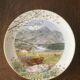 Set of 12 decorative plates Royal Worcester – Peter Barrett – Edition