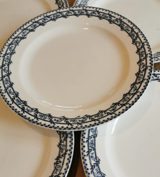 Service of 8 vintage flat plates in Earth of Iron earthenware, Salins factory, Primerose model