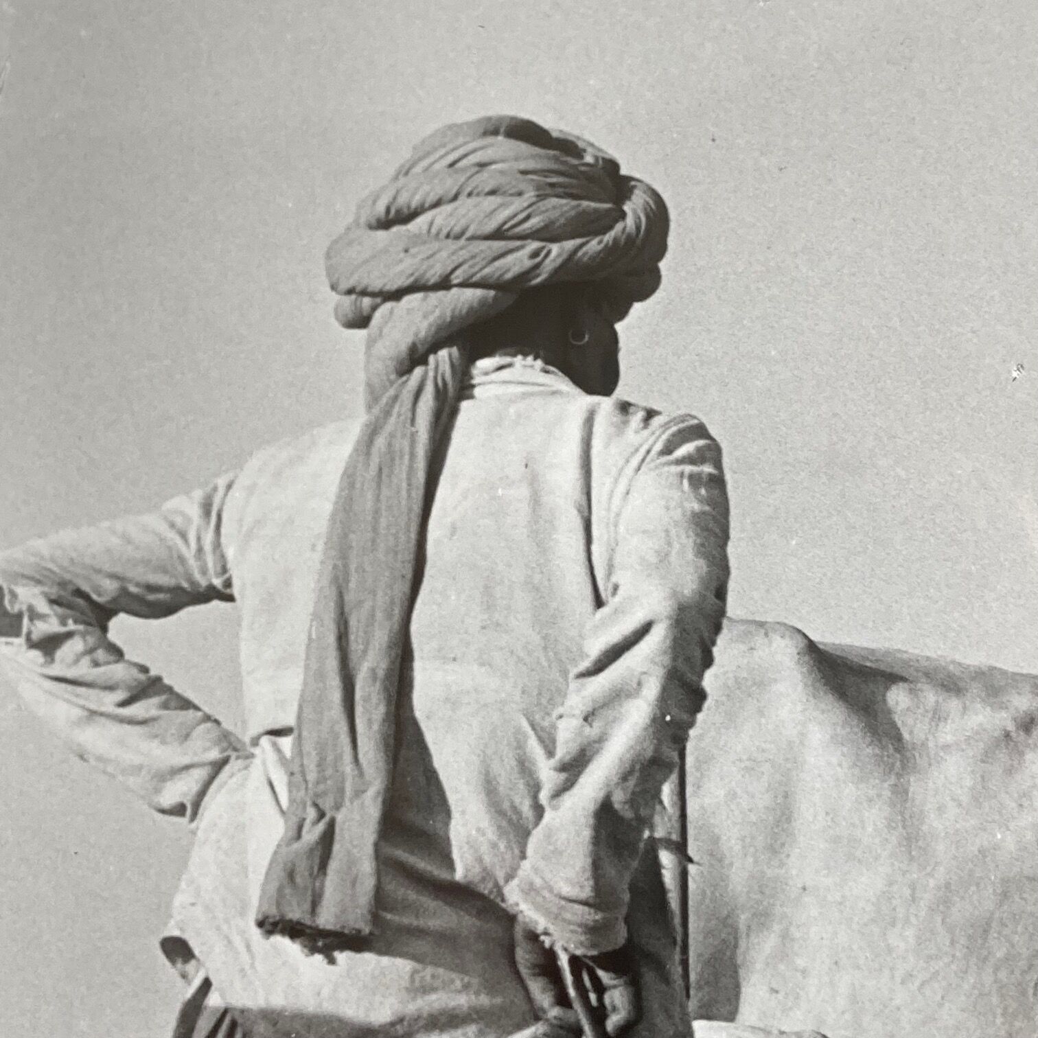 Original photograph by Suraj N Sharma: Chaksu Pilgrimage