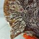 Large vintage fish platter Vallauris – Ceramics – 1960s