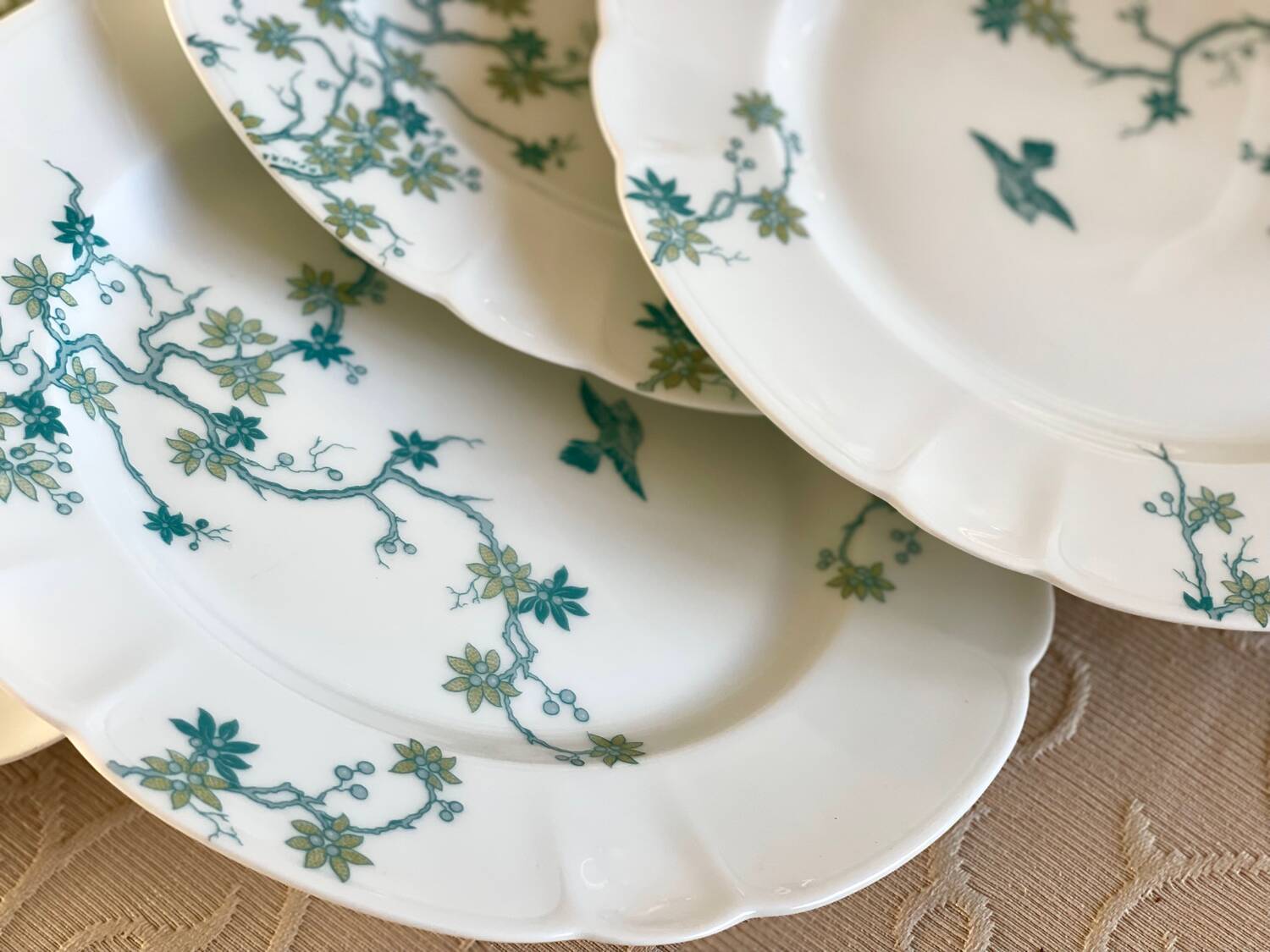 8 Haviland Limoges dinner plates.