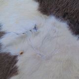 Goat skin