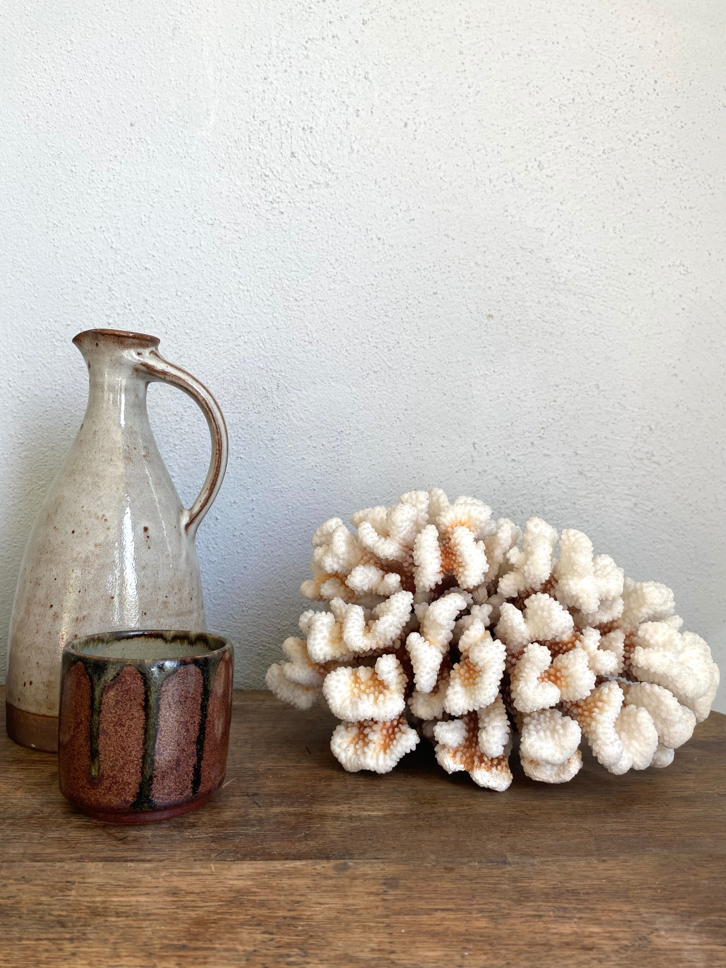 Coral XXL on its foot