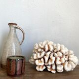 Coral XXL on its foot