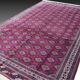Large Semi Antique Turkmen Rug Bukhara Yomouth 370 × 224 Cm - Handmade