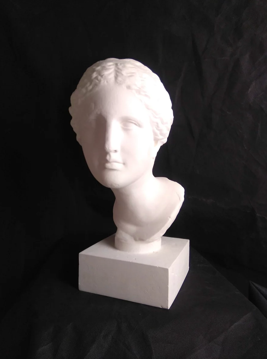 Venus known as Martre Tolosane | Musée Toulouse