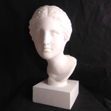 Venus known as Martre Tolosane | Musée Toulouse
