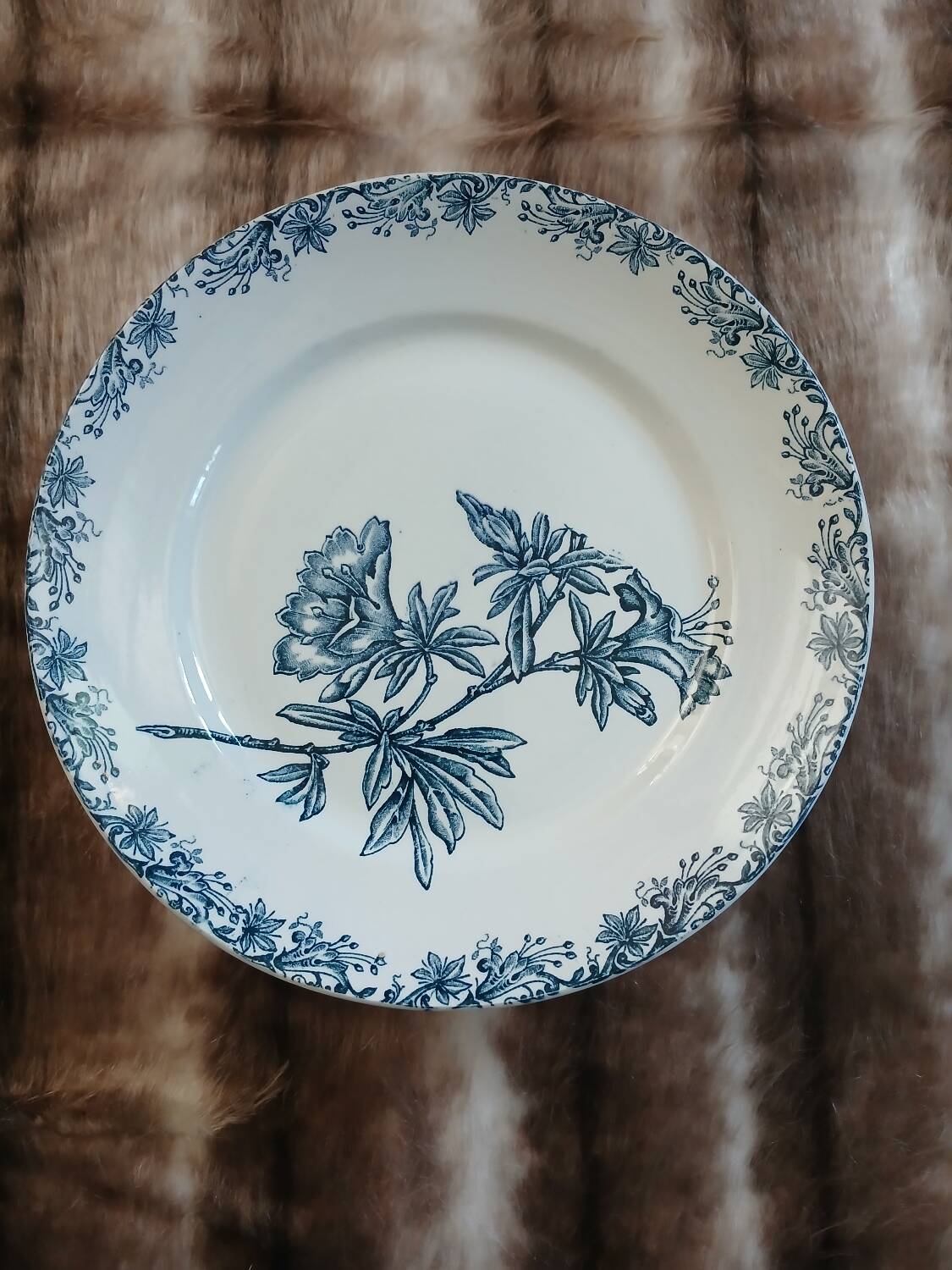 11 antique ironstone plates "Flora"