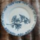 11 antique ironstone plates "Flora"
