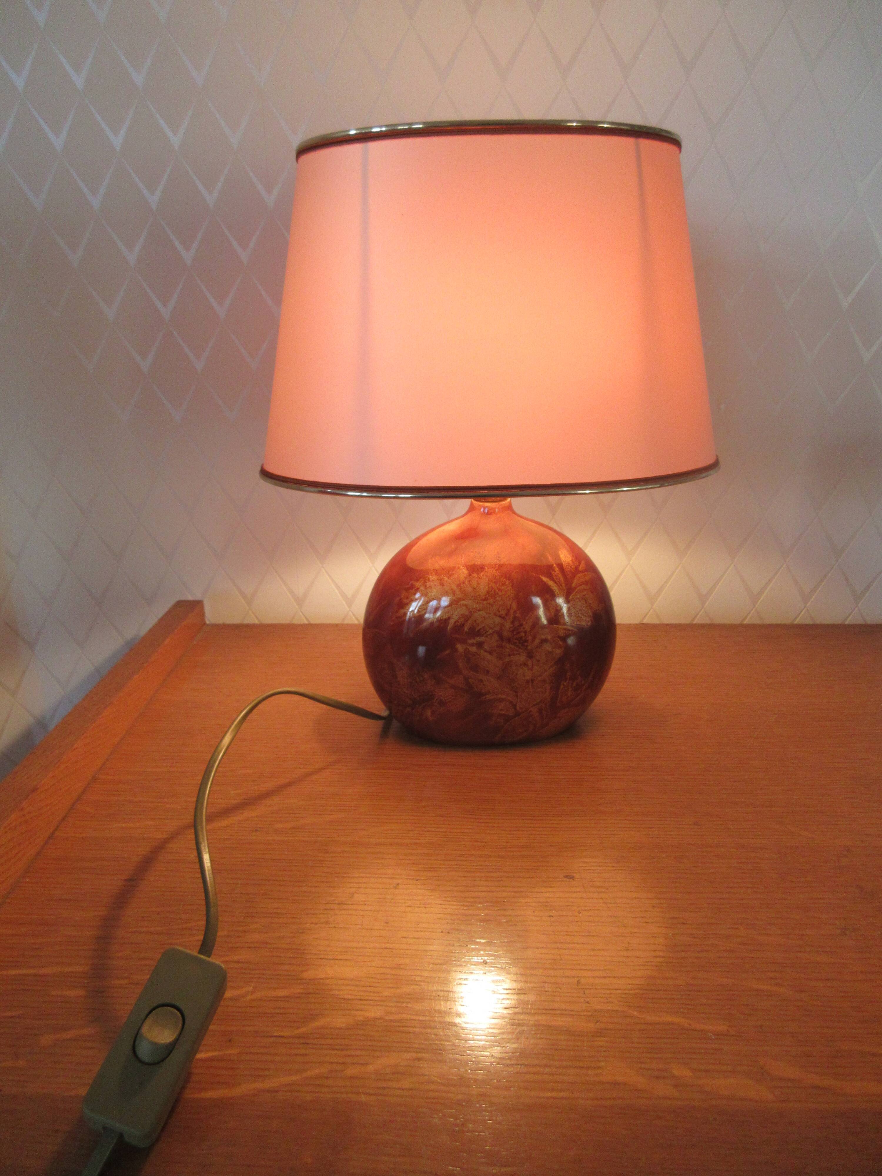 Lamp to lay The Dolphin's bitten foot