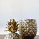 Pineapple ice bucket designed by Mauro Manetti for Fonderia d'Arte