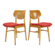 Pair of Chairs by TON, 1965 Czechoslovakia