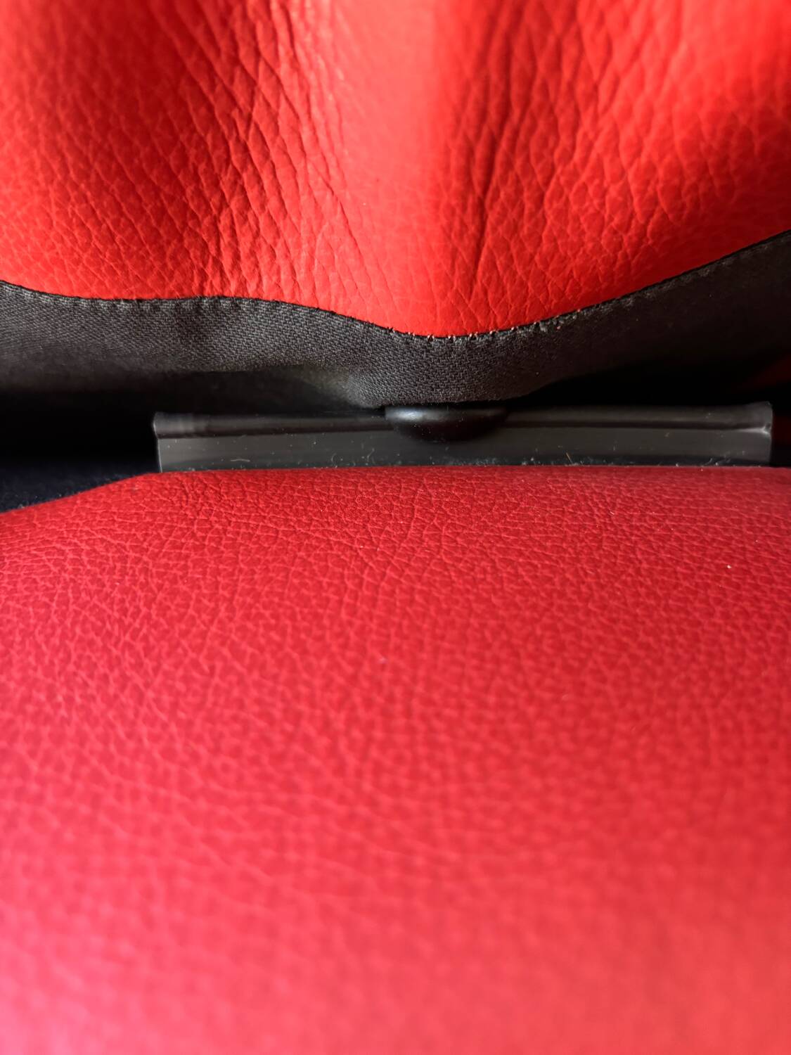 Antipode sofa by Leolux 2 seater