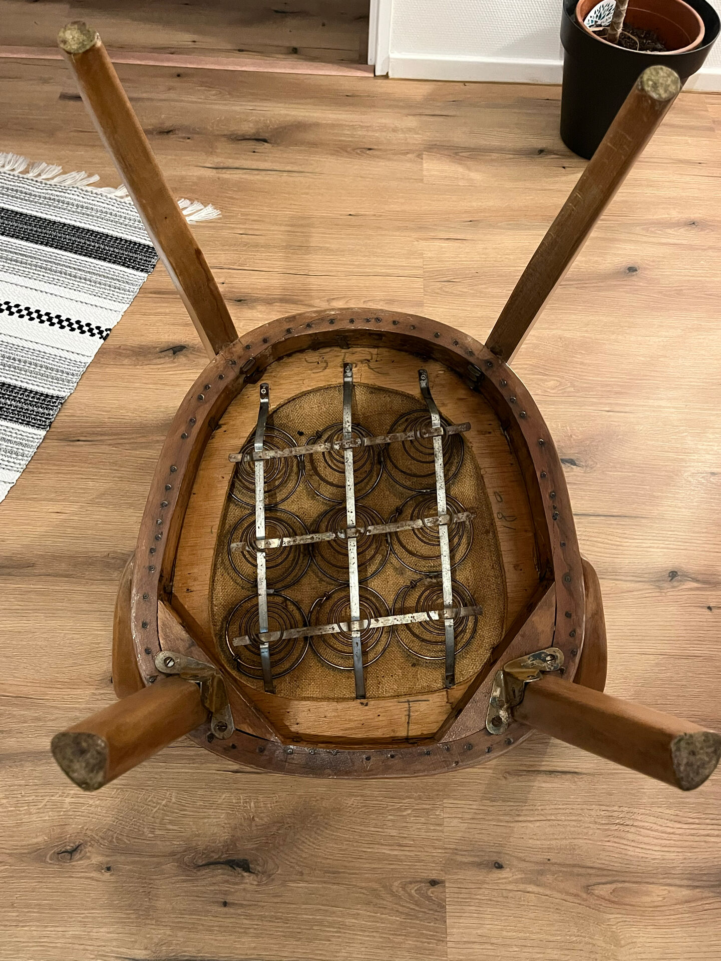 Pair of Fischel armchairs in bent wood
