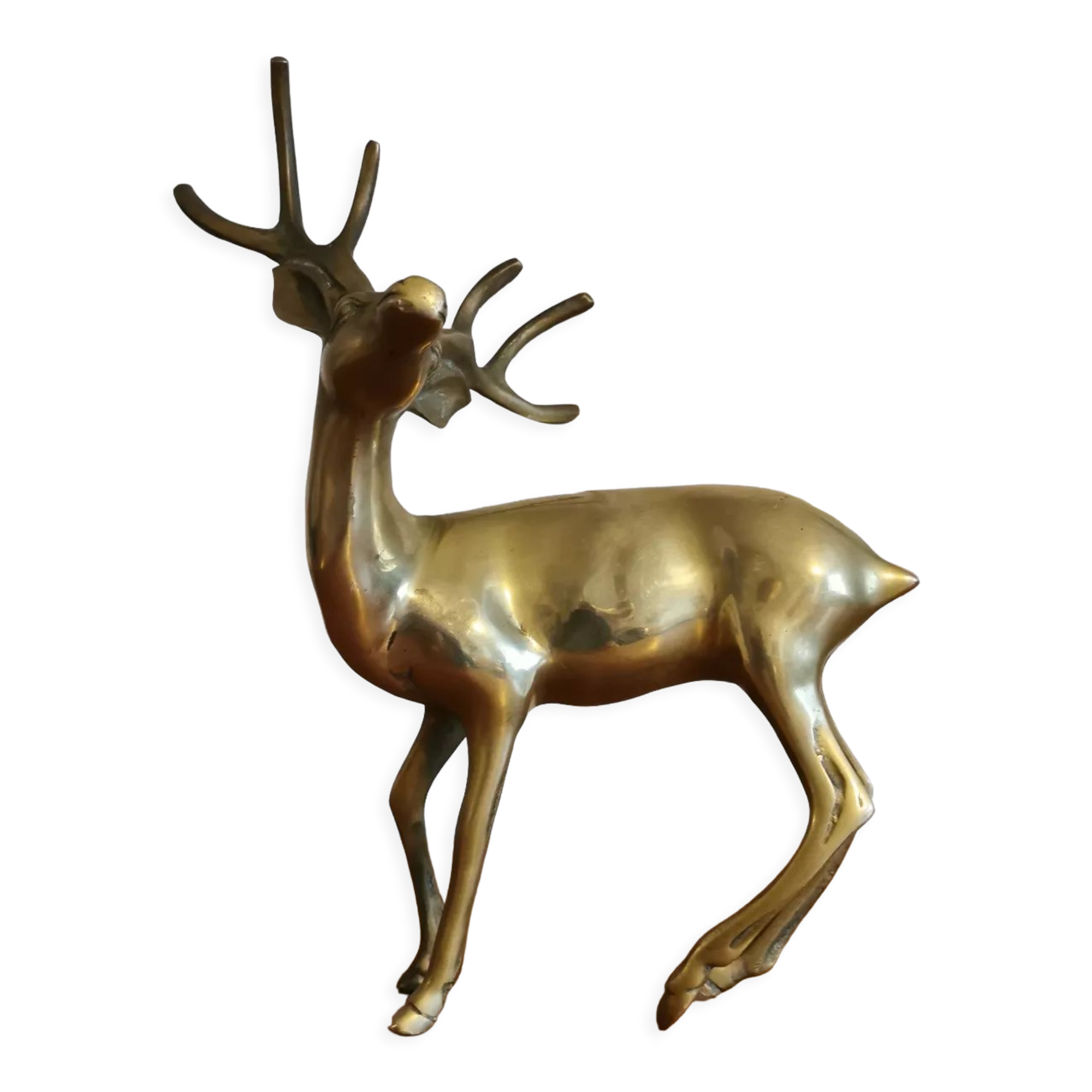 Young golden brass deer