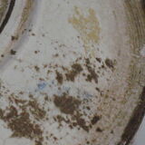 Dish