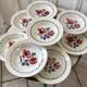 Set of 9 hollow plates Digoin Sarreguemines model "Cannes"