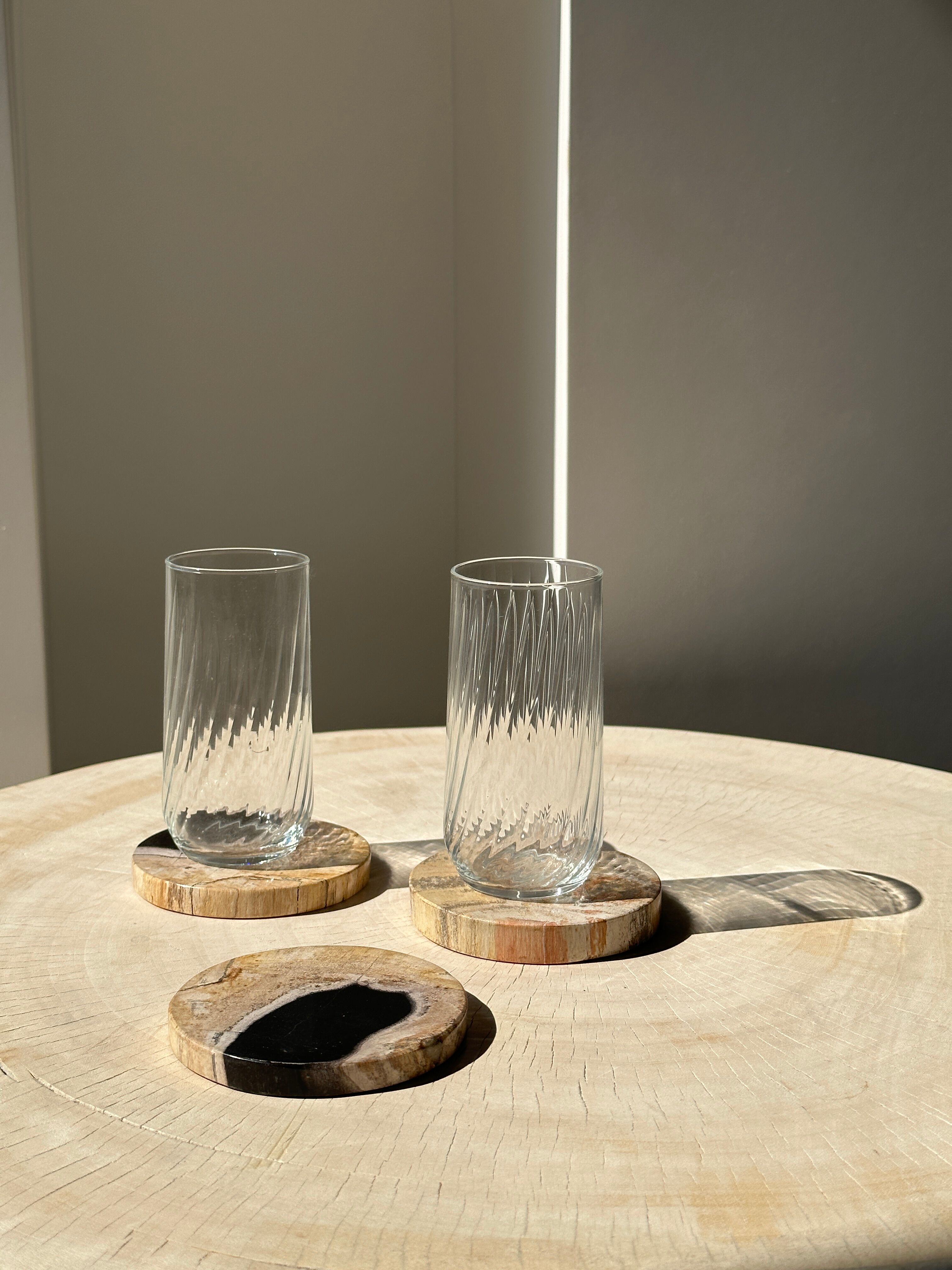 Set of 3 fossilized wooden coasters (clear)