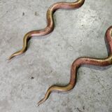 Paire de bougeoirs muraux en bronze figurant un serpent, 1960