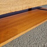 Vintage coffee table by Roger Capron, herbarium model