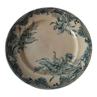 Old plate