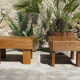 Low table pair in oiled solid elm, Regain house 1970