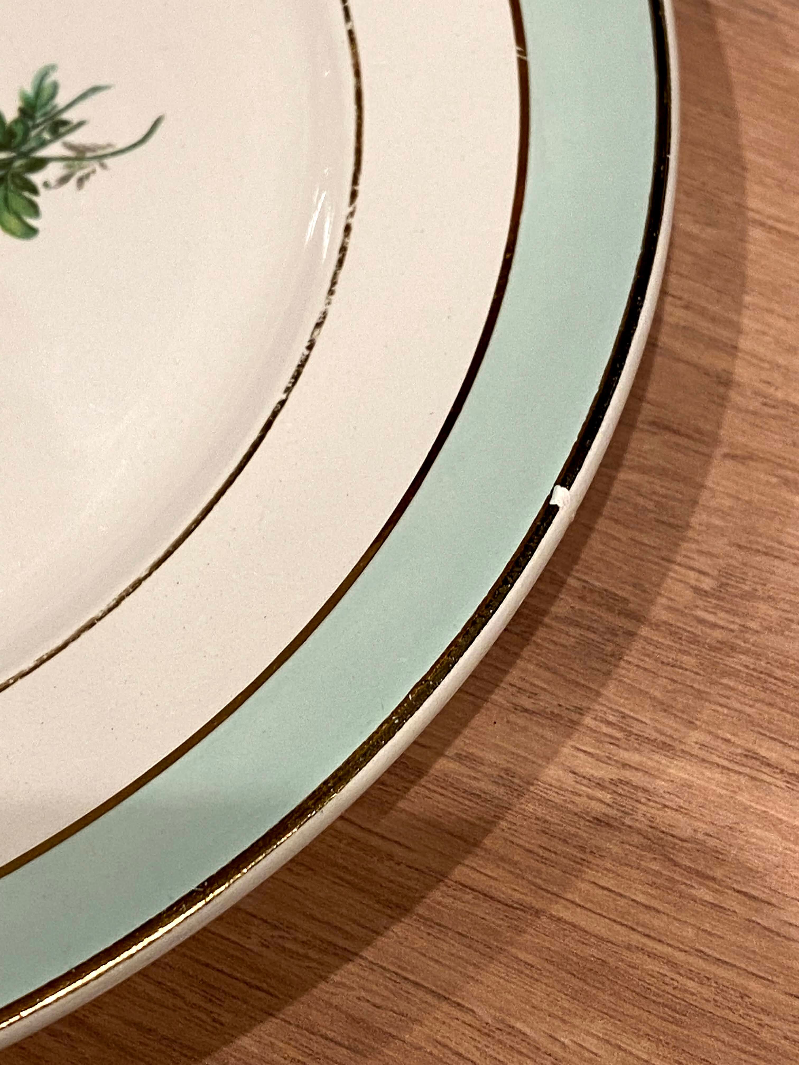 6 flat plates in half-porcelain Badonviller