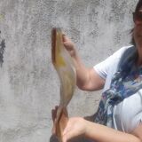 Grande applique en verre de Murano de Mazzega, années 1970